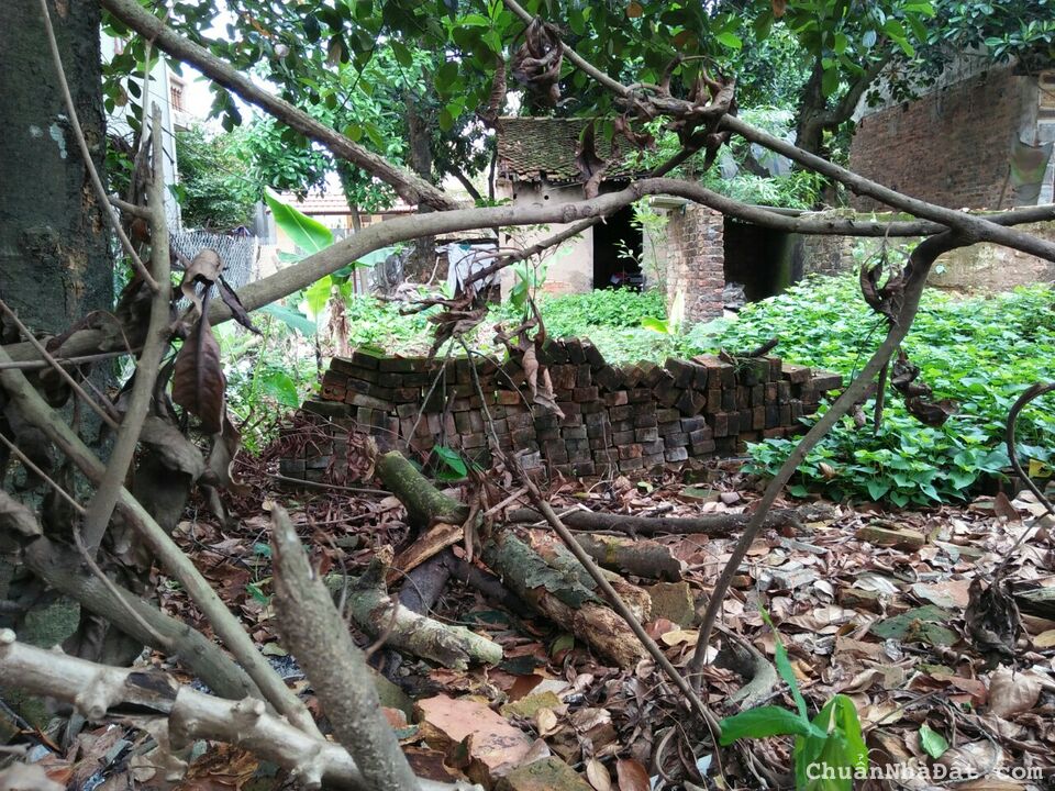 Bán gấp lô đất Kim Hoa Mê Linh, đất vuông đẹp ngõ ô tô, chỉ 17 triệu/m2, lh: 083.664.6314.		