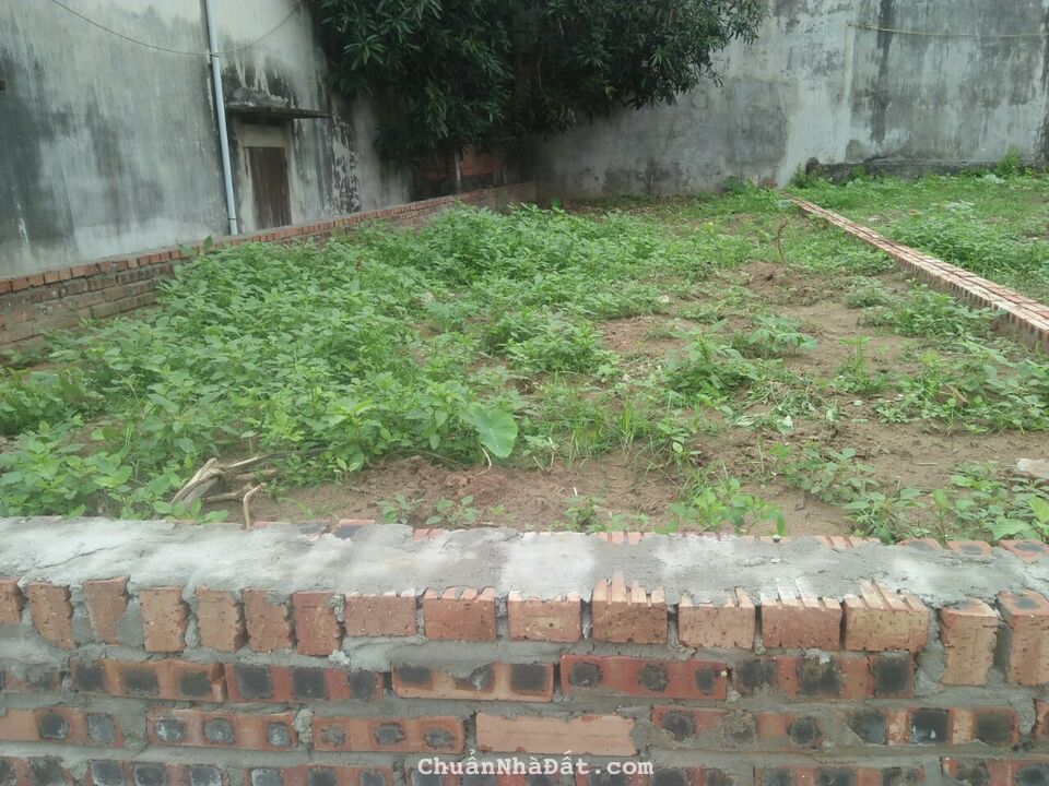 Bán gấp 80m2 đất phân lô mặt tiền 5m,Kim Hoa - Mê Linh, ngõ ô tô tránh, chỉ 17.5 triệu/m2, lh: 083.664.6314.