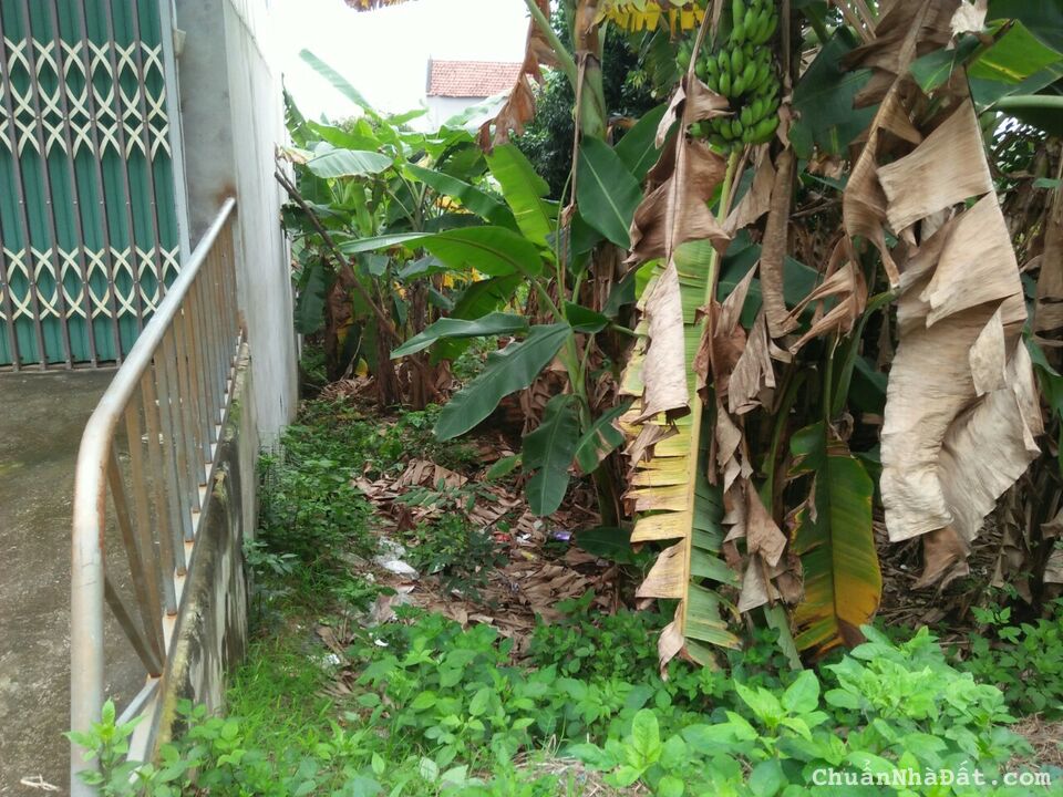 Bán gấp 150m2 đất kinh doanh mặt đường Phạm Văn Đồng Cao Quang Phúc Yên, chỉ 11tr/m2.					