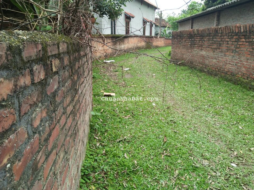 Chính chủ bán gấp 600m2 đất thổ cư Ngọc Thanh Phúc Yên, Hoàng Hoa Thám, TL301 MT 20m chỉ 4tr/m2.