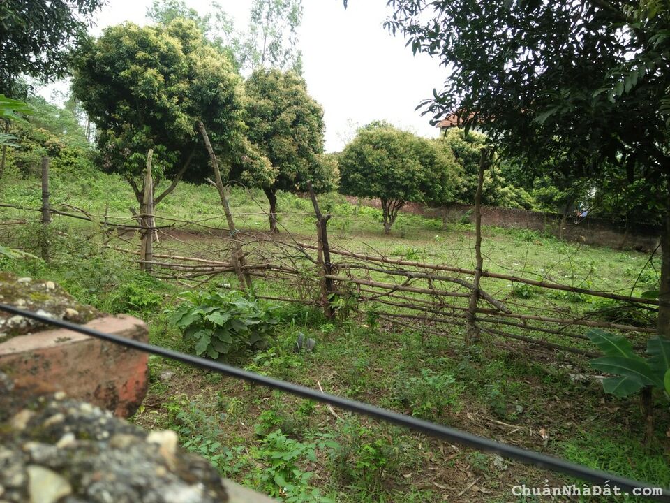 Chính chủ bán gấp 600m2 đất thổ cư Ngọc Thanh Phúc Yên, Hoàng Hoa Thám, TL301 MT 20m chỉ 4tr/m2.