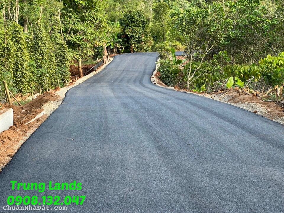 Bán 2000m2 có 100m2 thổ cư giá 4.25 tỷ Suối Lúp- Bình Ba, Châu Đức, BRVT. Trung 0908.132.047 Bán 2000m2 có 100m2 thổ cư giá 4.25 tỷ Suối Lúp- Bình Ba, Châu Đức, BRVT. Trung 0908.132.047