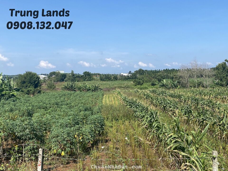 Bán 2000 m2 đất xã Bình Ba,view hồ Đá Đen Châu Đức,BRVT giá 4 tỷ.Trung 0908.132.047 Bán 2000 m2 đất xã Bình Ba,view hồ Đá Đen Châu Đức,BRVT giá 4 tỷ.Trung 0908.132.047