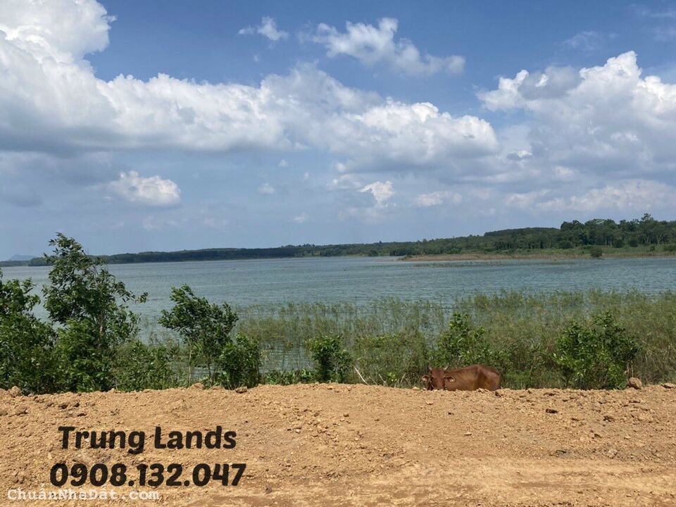 Bán 2000 m2 đất xã Bình Ba,view hồ Đá Đen Châu Đức,BRVT giá 4 tỷ.Trung 0908.132.047 Bán 2000 m2 đất xã Bình Ba,view hồ Đá Đen Châu Đức,BRVT giá 4 tỷ.Trung 0908.132.047