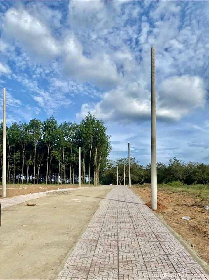 CƠ SỞ HẠ TẦNG, ĐÈN ĐIỆN, TRƯỜNG HỌC, CHỢ, ĐƯỜNG NÂNG CẤP, ĐỐI DIỆN KCN 943HA - SỔ SẴN