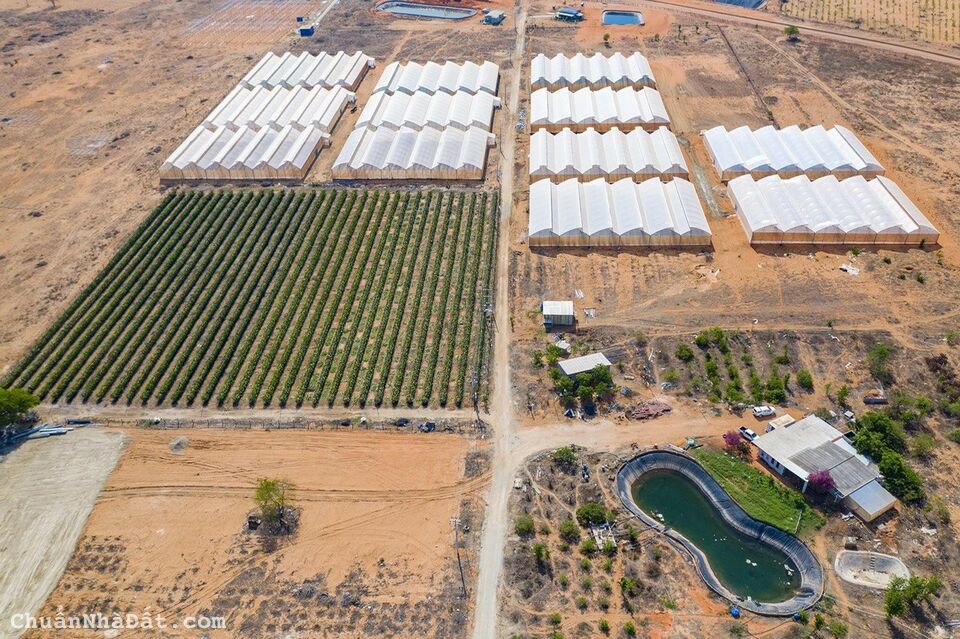 Cần Bán Sổ 2 Mặt Tiền Đường Đất , Gần Khu Dân Cư Cách 500m Cần Bán Sổ 2 Mặt Tiền Đường Đất , Gần Khu Dân Cư Cách 500m