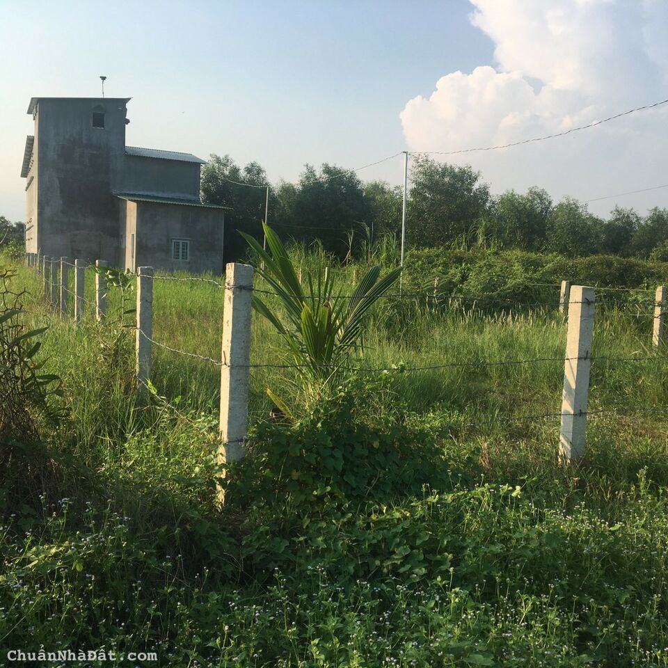 Bán nhà yến ở Bến Lức , Long An