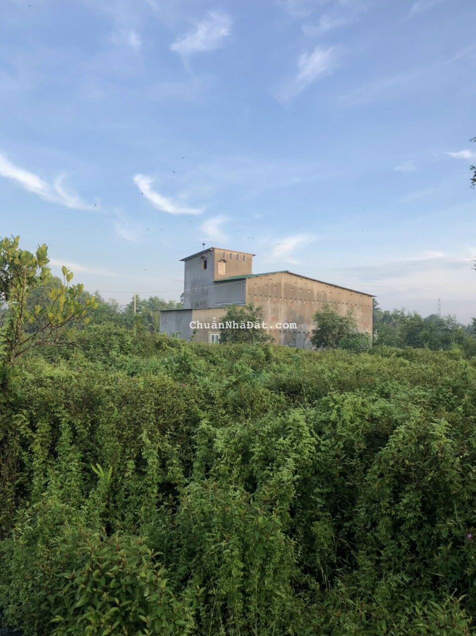 Bán nhà yến ở Bến Lức , Long An