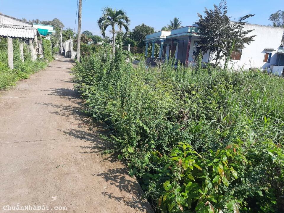 bán đất thổ cư ở tp Tân An , Long An bán đất thổ cư ở tp Tân An , Long An