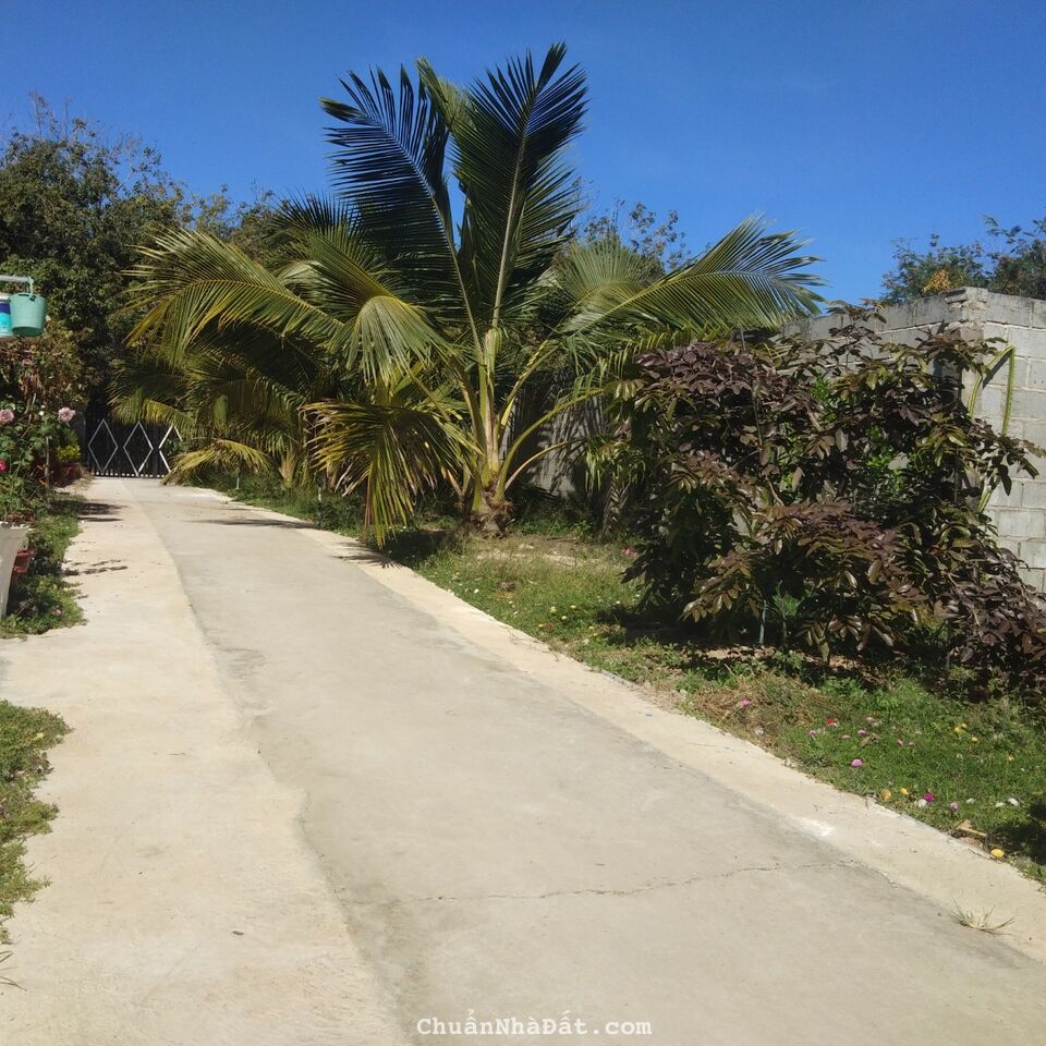 Bán 6000m2 đất vườn ở Bàu Bàng , Bình Dương Bán 6000m2 đất vườn ở Bàu Bàng , Bình Dương