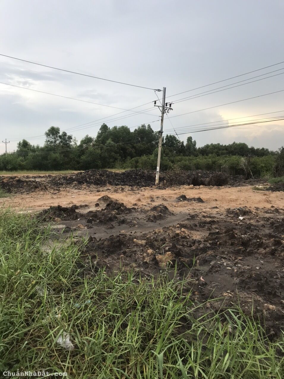 bán 15128 m2 đất thị trấn Thạnh Hóa , Long An