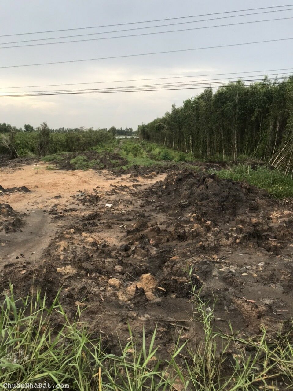 bán 15128 m2 đất thị trấn Thạnh Hóa , Long An