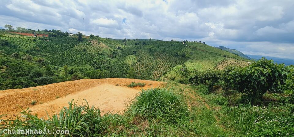 HOT ❗ 3.5 TỈ MUA ĐƯỢC 7.000M2 ĐẤT VEN ĐÀ LẠT ‼ HOT ❗ 3.5 TỈ MUA ĐƯỢC 7.000M2 ĐẤT VEN ĐÀ LẠT ‼