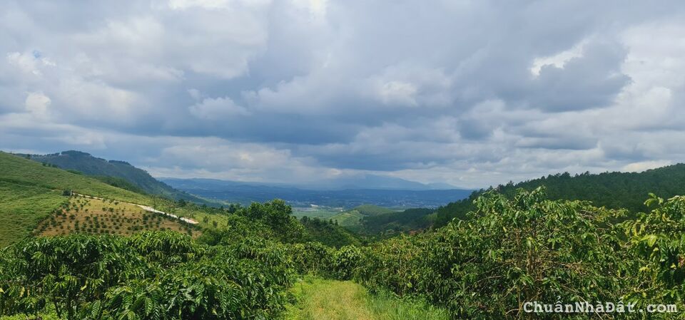 HOT ❗ 3.5 TỈ MUA ĐƯỢC 7.000M2 ĐẤT VEN ĐÀ LẠT ‼ HOT ❗ 3.5 TỈ MUA ĐƯỢC 7.000M2 ĐẤT VEN ĐÀ LẠT ‼