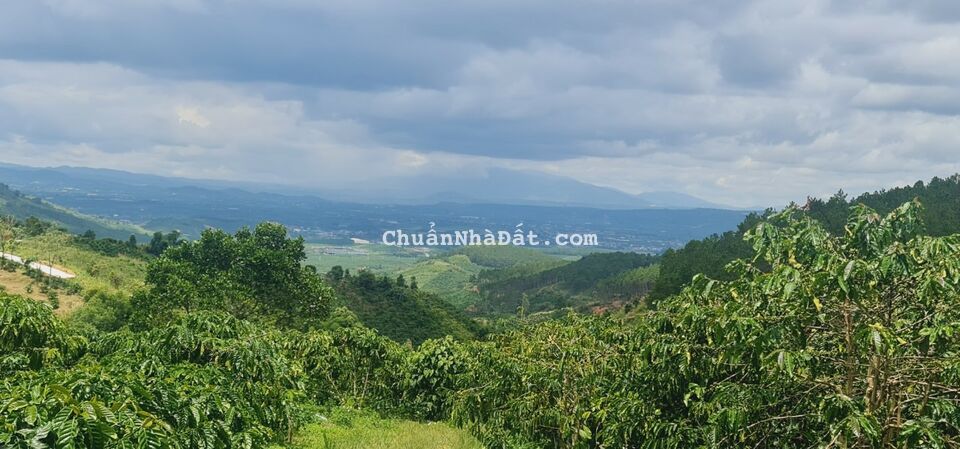 HOT ❗ 3.5 TỈ MUA ĐƯỢC 7.000M2 ĐẤT VEN ĐÀ LẠT ‼ HOT ❗ 3.5 TỈ MUA ĐƯỢC 7.000M2 ĐẤT VEN ĐÀ LẠT ‼