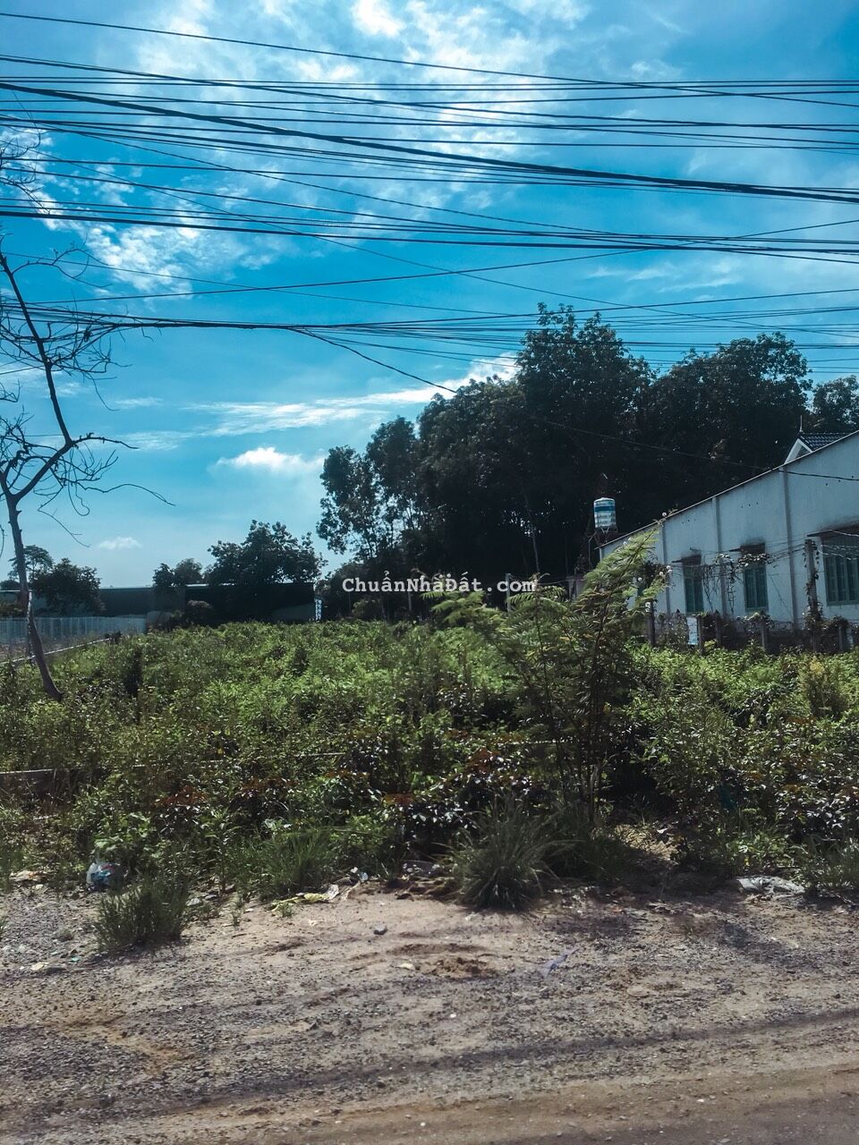 CẦN BÁN RẺ MẢNH ĐẤT 2.050M2-NGAY KCN VIỆT-HÀN ĐÔNG DÂN,GẦN CHỢ TRƯỜNG TIỆN KD. GIÁ 650TR