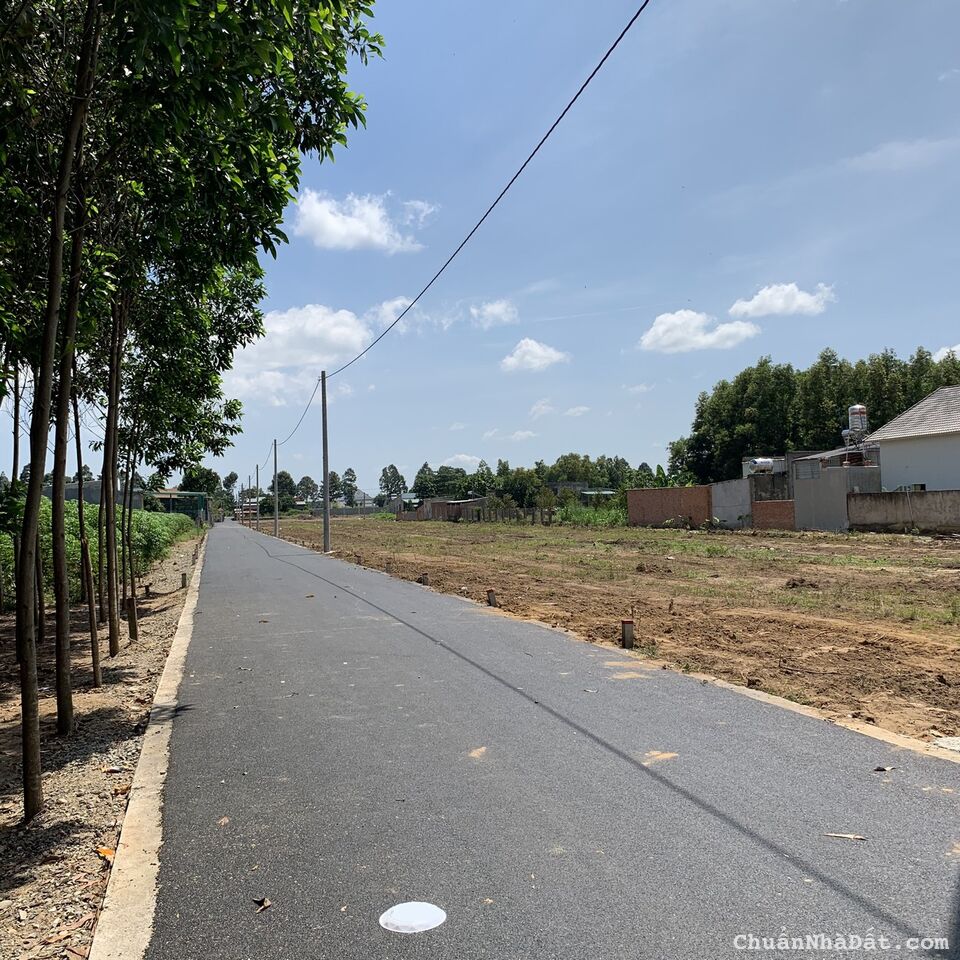 XÂY NHÀ HỤT TIỀN,BÁN RẺ 2.300M2 ĐẤT NGAY CHỢ TRƯỜNG,TT KCN LỚN QUỐC LỘ.GIÁ 420TR