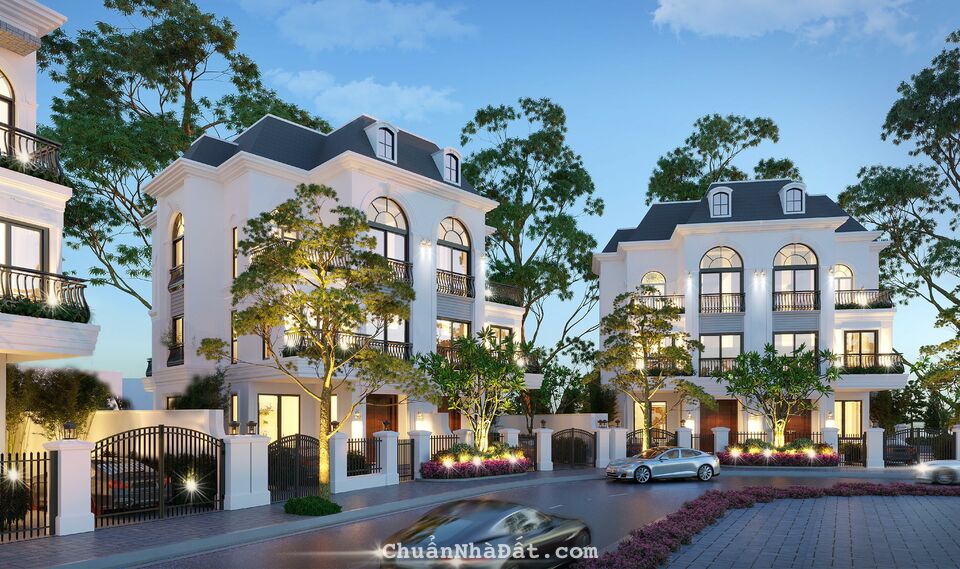 Bán đất nền LK, LK góc đẹp mê ly tại TMS Đầm Cói Vĩnh Yên. Giá 26tr/m2