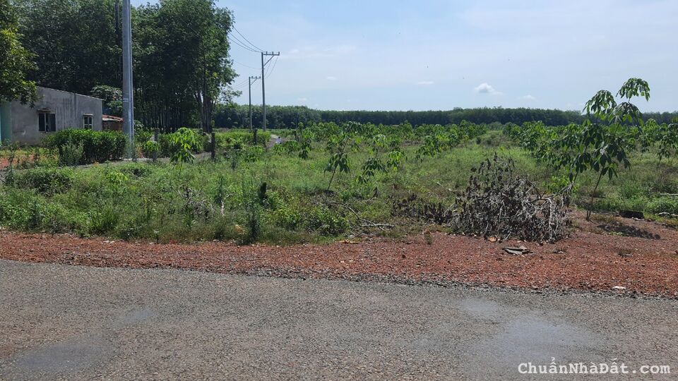 Chính chủ cần vốn làm ăn bán gấp 1088m2 ngay mặt tiền đường 