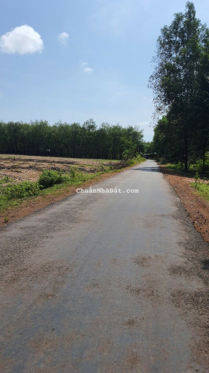 Làm ăn gặp khó khăn tôi cần bán gấp lô đất để trả nợ