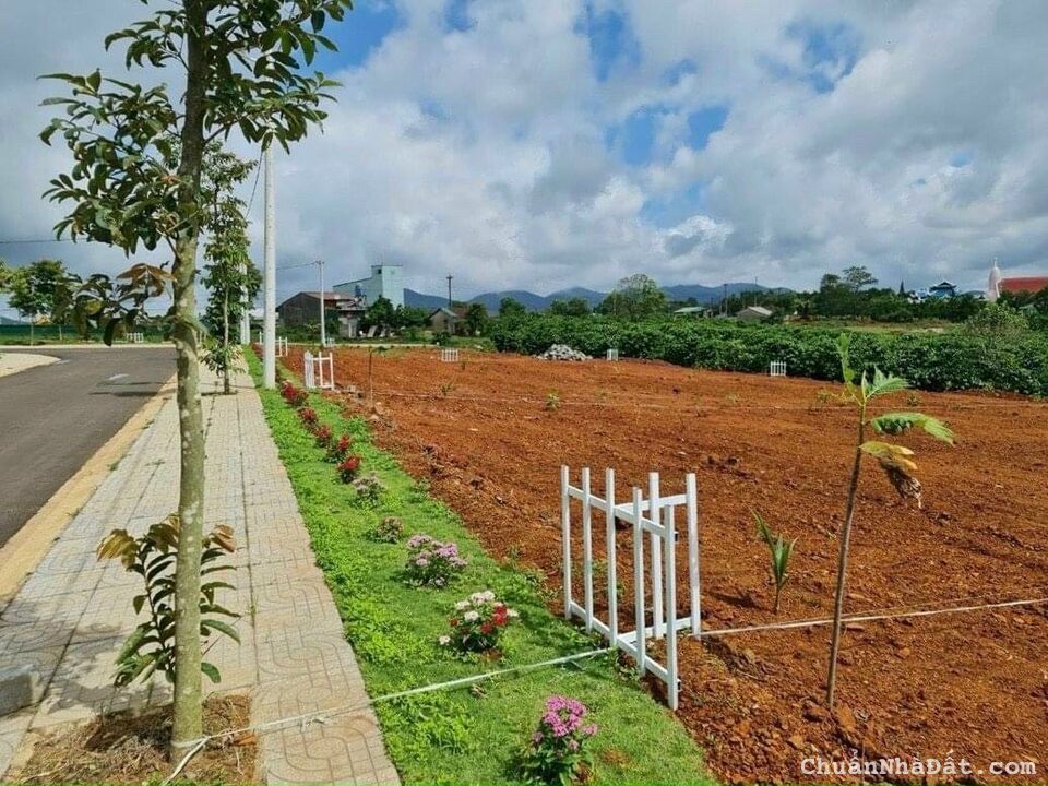 Sam Hills Bảo Lộc, Khu Biệt Thự Nghỉ Dưỡng Tiềm Năng, SHR, Vị Trí Đẹp, Vừa Nghỉ Dưỡng - Vừa Đầu Tư