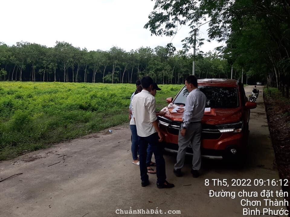 Khách ngộp cần ra gấp lô đất sát vách KCN Tân Khai, Tân Quan, sau lưng KCN Minh Hưng - Hàn Quốc