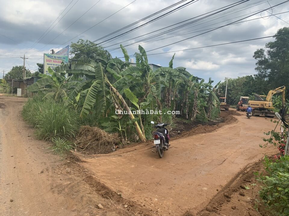 Vài sào dọc tuyến huyết mạch Cầu Mên