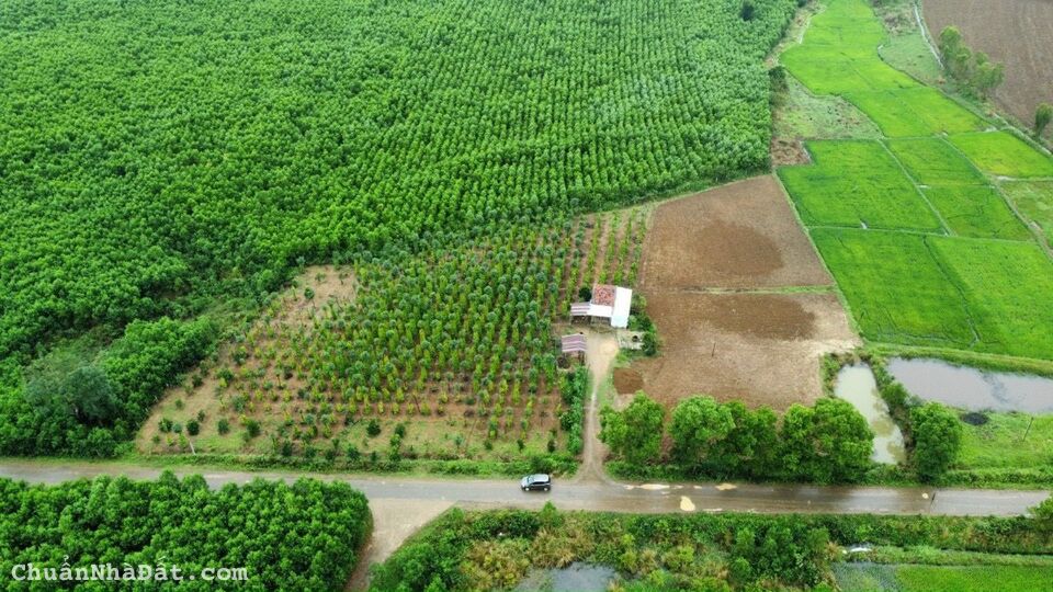 Chính chủ gửi bán, lô đất Cư M'gar full hồng giá đầu tư bao lời.