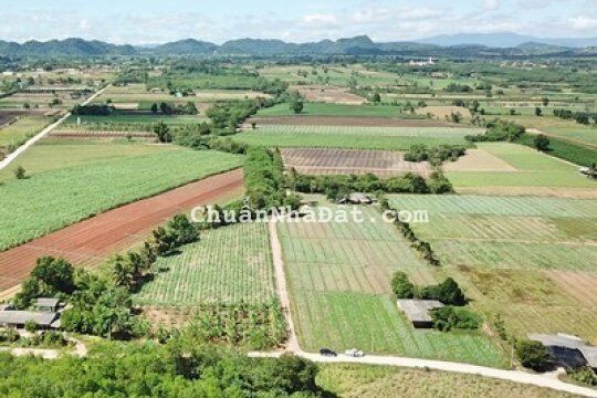 🌾 Bán đất Cư M'gar giá rẻ cho nhà đầu tư chỉ 3xxtr 