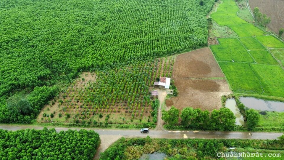 🆘 Cần tiền bán Gấp lô đất Đắk Lắk giá rẻ chỉ 295tr