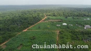 SIÊU PHẨM VIEW ĐỒI NÚI CHỈ ~125K/SÀO