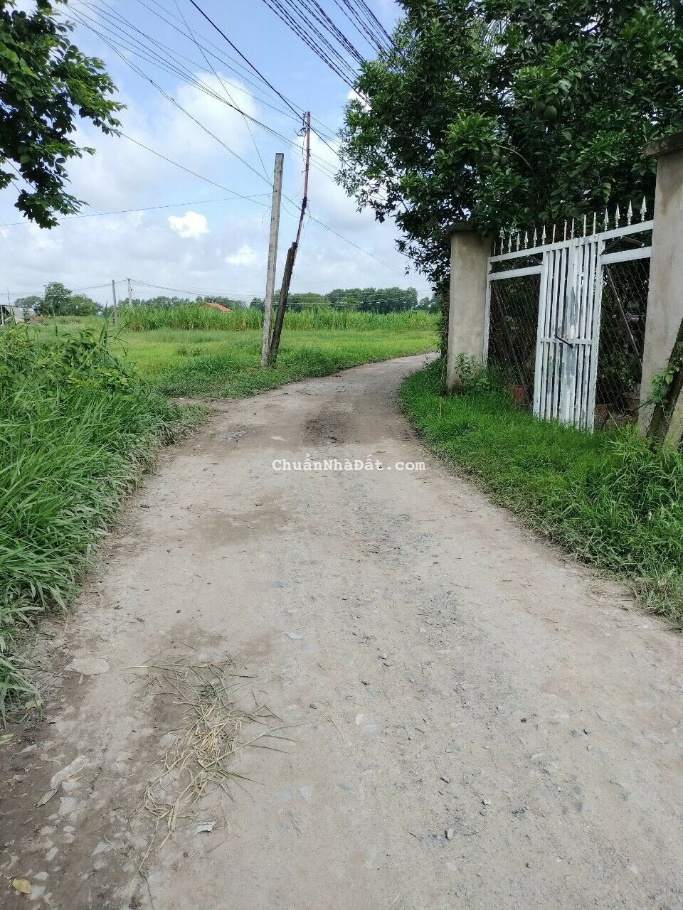 BÁN GẤP NỀN ĐẤT 292M2 ĐỨC NGÃI 1, ĐỨC LẬP THƯỢNG, ĐỨC HÒA, LONG AN 2TY4-0901907148 BÁN GẤP NỀN ĐẤT 292M2 ĐỨC NGÃI 1, ĐỨC LẬP THƯỢNG, ĐỨC HÒA, LONG AN 2TY4-0901907148