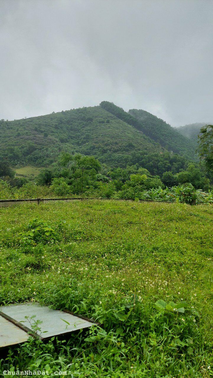 🌷 Bán nhanh mảnh đất 1628m2 Viev núi thoáng mát, Giá hơn 5tr/m2 📣📣 