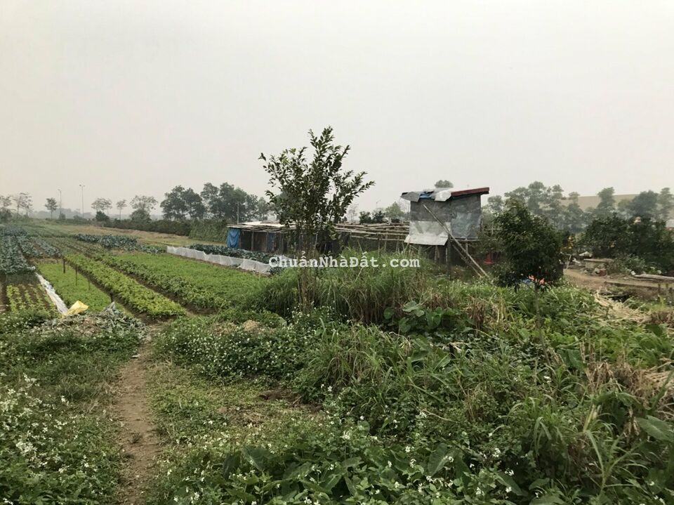 Bán mảnh đất dự án bệnh viện đa khoa tại quận Thanh Xuân Hà Nội.