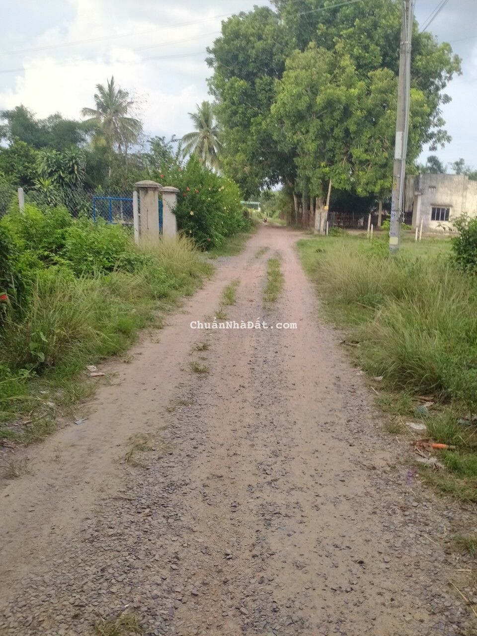CẦN BÁN ĐẤT TẠI XÃ PHƯỚC MINH, DƯƠNG MINH CHÂU, TÂY NINH