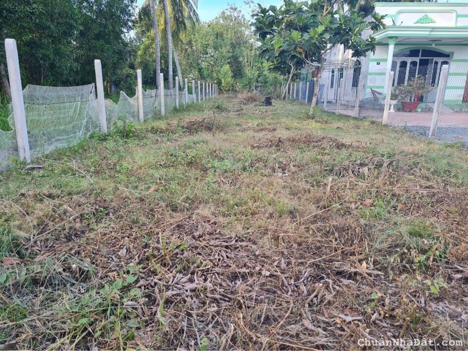 CẦN BÁN ĐẤT TẠI XÃ PHƯỚC MINH, DƯƠNG MINH CHÂU, TÂY NINH