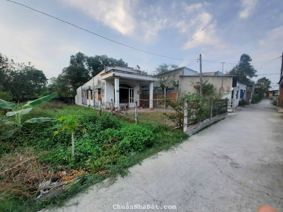 Bán gấp lô đất ở thổ cư 194.1m² tại đường Nguyễn Kim Cương, Xã Tân Thạnh Đông, Huyện Củ Chi, TP. Hồ