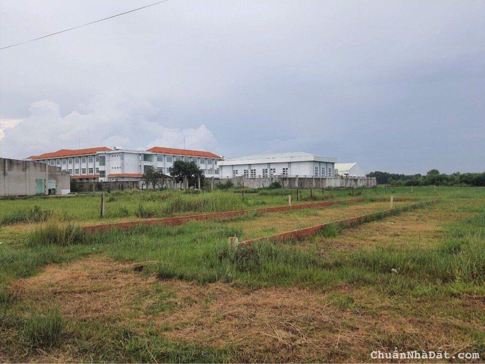 Bán gấp lô đất đẹp 125m2 ở xã Phước Hiệp, Củ Chi, giá rẻ, SHR 