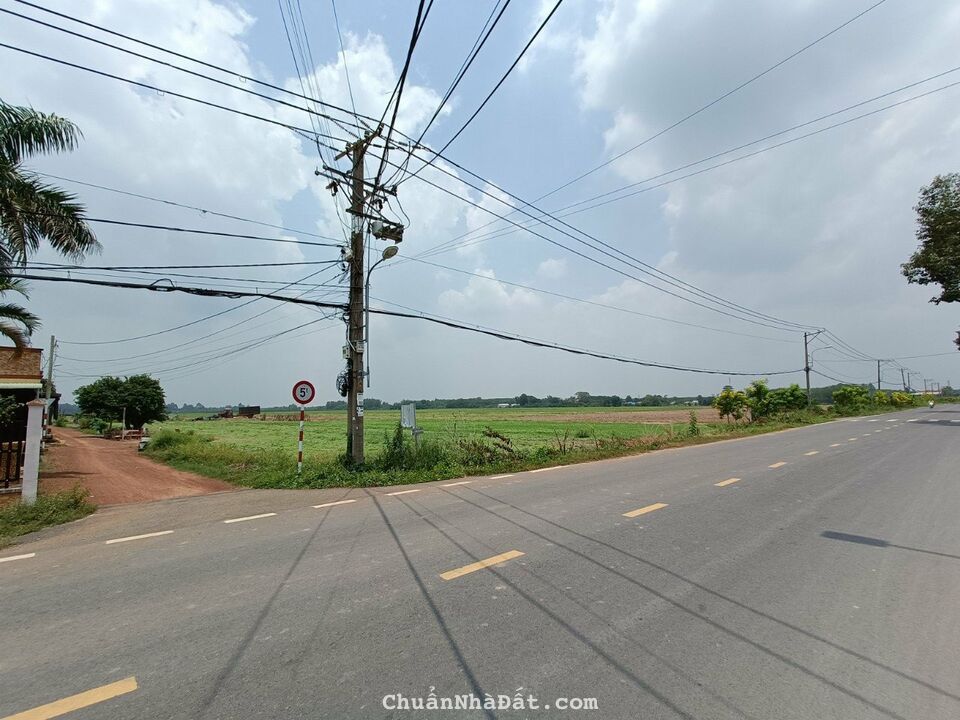 Nhà cần bán gấp lô đất thổ cư 300m² tại đường Phạm Văn Cội, Xã Phạm Văn Cội, Huyện Củ Chi