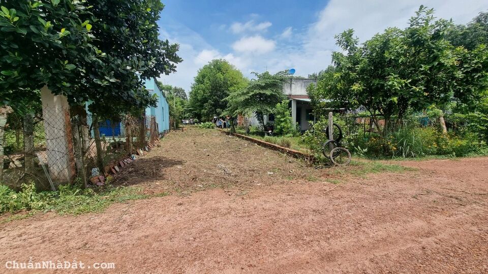 Nhà cần bán gấp lô đất thổ cư 300m² tại đường Phạm Văn Cội, Xã Phạm Văn Cội, Huyện Củ Chi