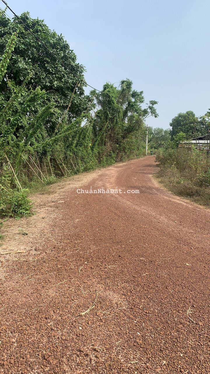 Anh chủ nhờ ra nhanh miếng đất thổ cư ngay QLN2