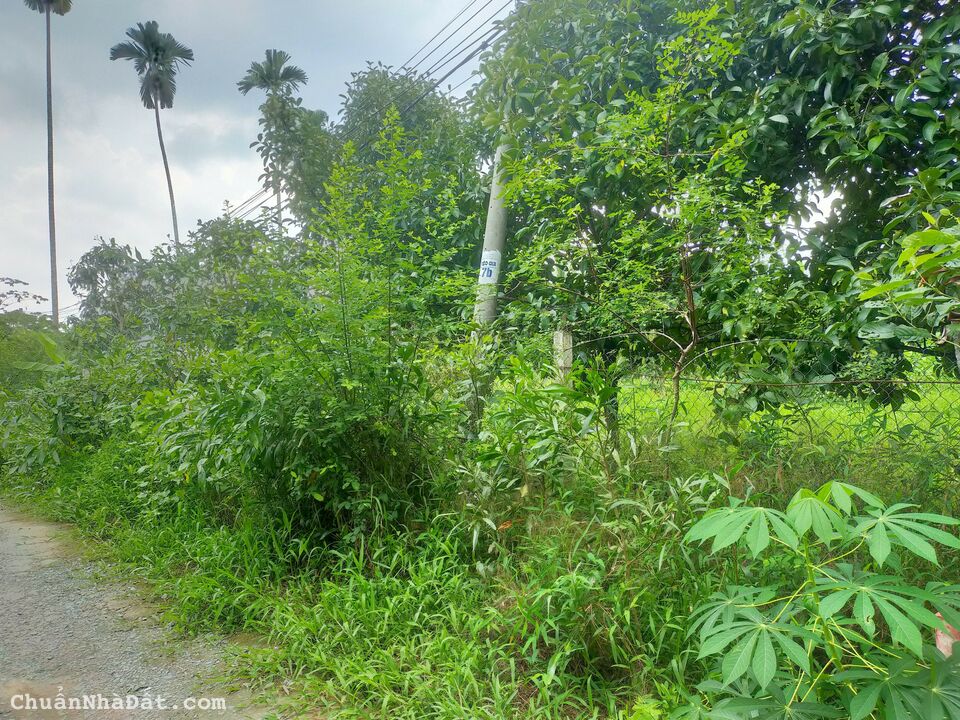 Nền rạch Xẻo Da gần chợ Cái Chanh, Thường Thạnh, Cái Răng, Cần Thơ