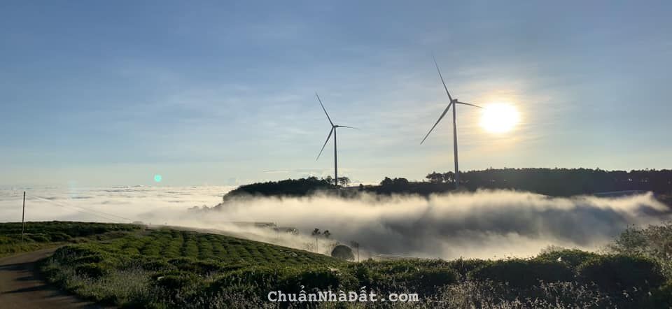 Chính chủ chuyển nhượng lô đất 2.5ha khu Bãi Dài Tiến Xuân, Thạch Thất.