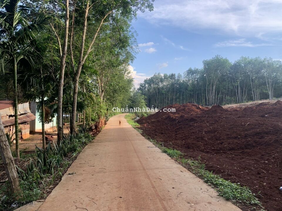 Vay NH đầu tư chứng khoán lỗ phải bán gấp 220m2 đất sổ hồng  riêng gần KCN