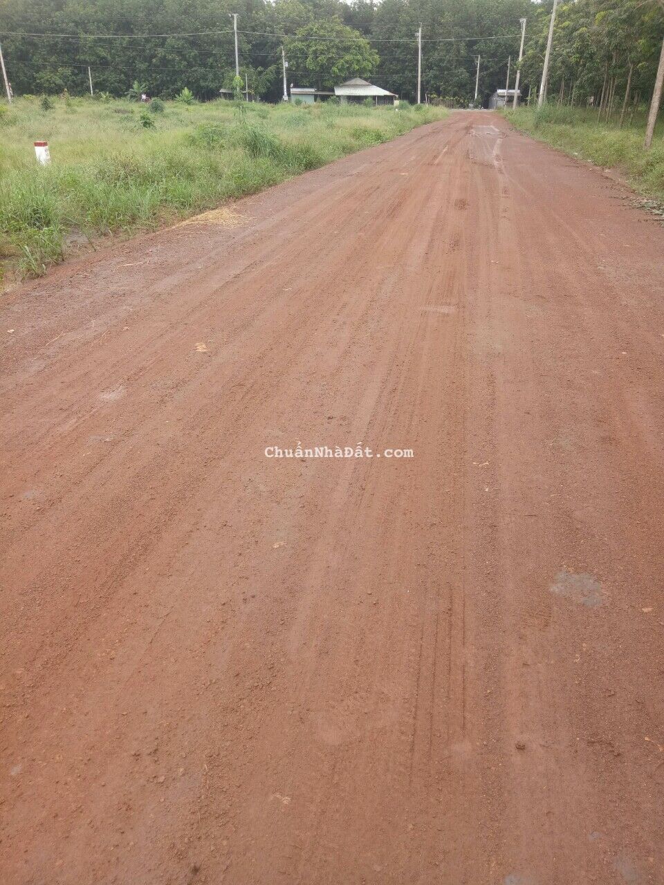  CHÍNH CHỦ CẦN BÁN GẤP LÔ ĐẤT 260M Ở CHƠN THÀNH