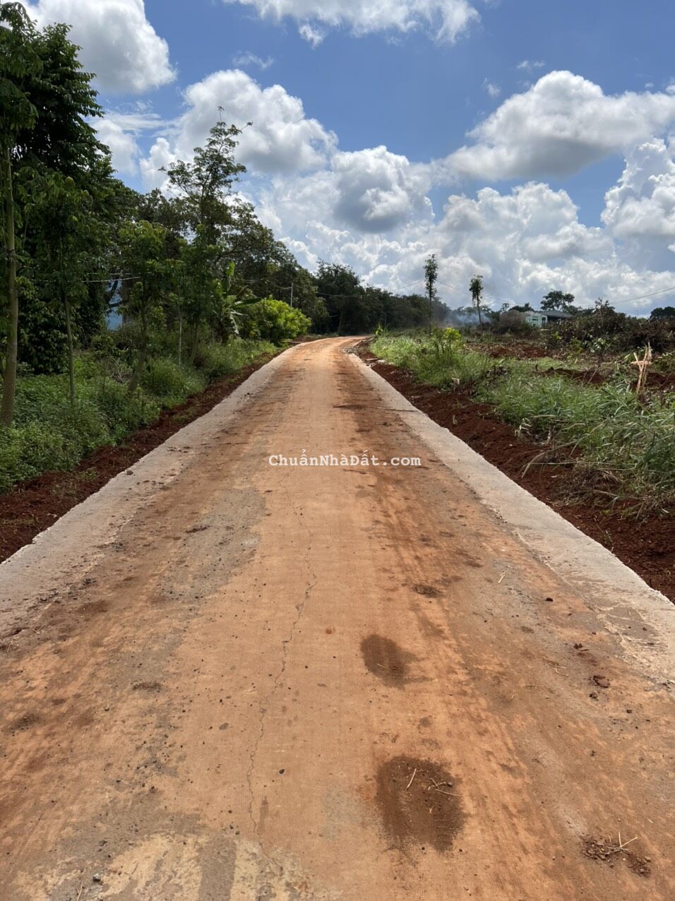 Bán lô đất thổ cư tại Nghĩa Bình, Bù Đăng, Bình Phước.