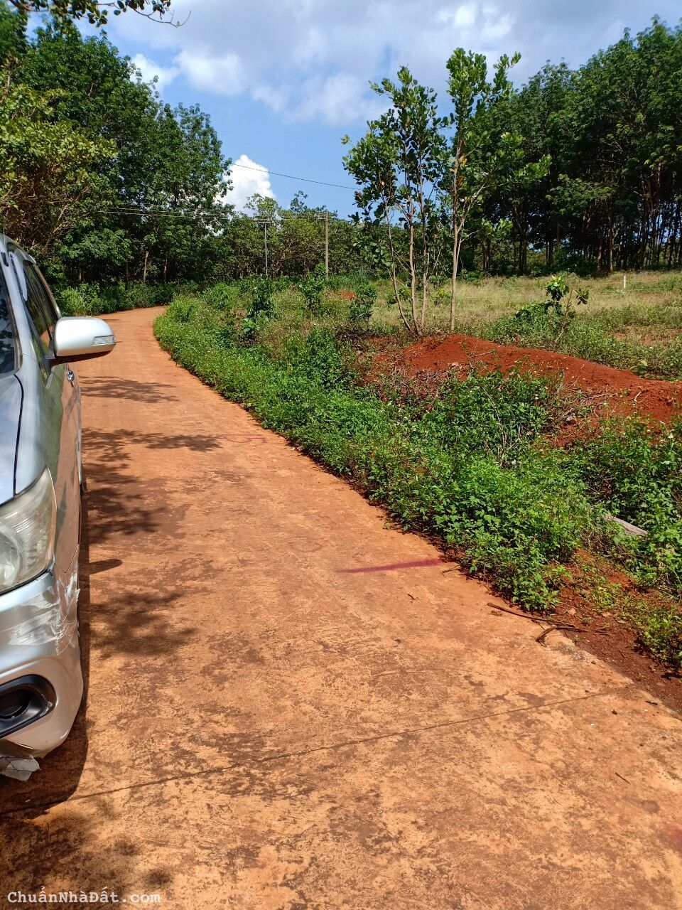 Bán lô đất thổ cư tại Nghĩa Bình, Bù Đăng, Bình Phước.