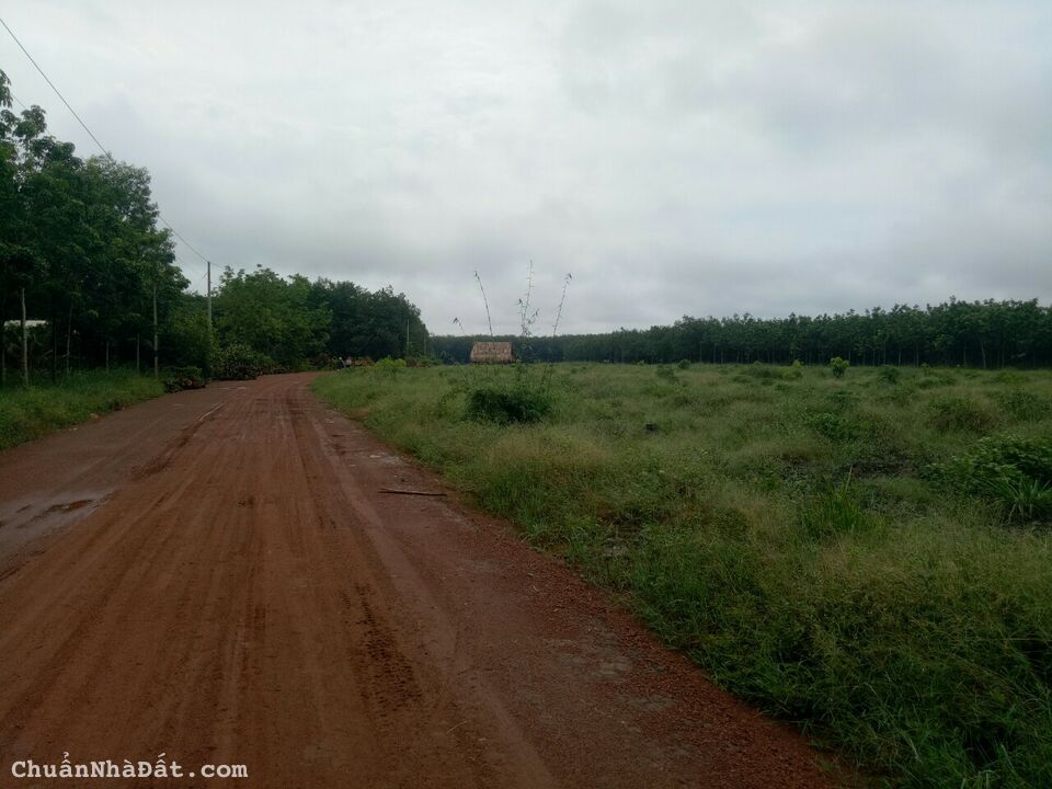 Chính chủ cần bán 520m2 đất gần KCN Becamex Chơn Thành. Chính chủ cần bán 520m2 đất gần KCN Becamex Chơn Thành.