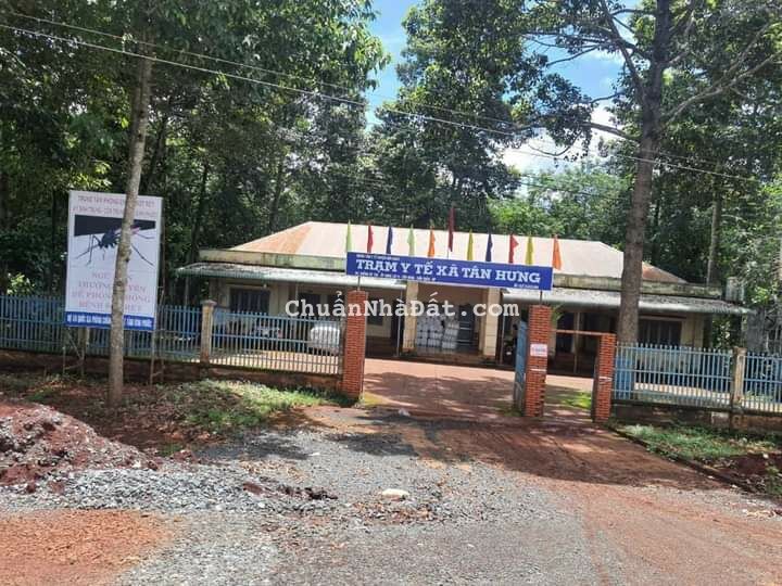 Chính chủ cần bán gấp 250m2 đất ngay KCN Tân Hưng.