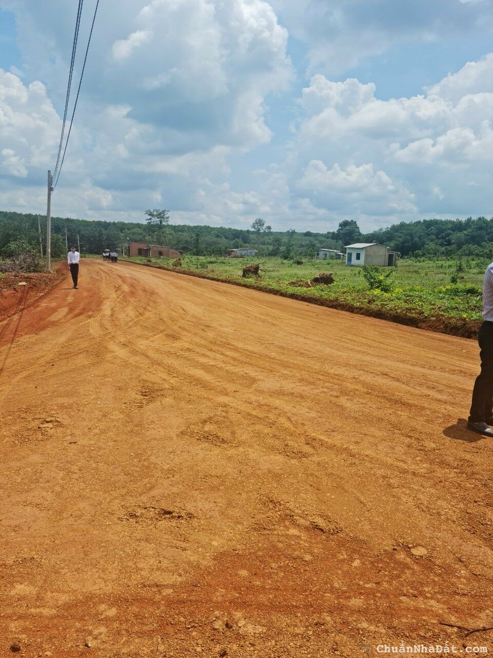 Chính chủ cần bán gấp 250m2 đất ngay KCN Tân Hưng.